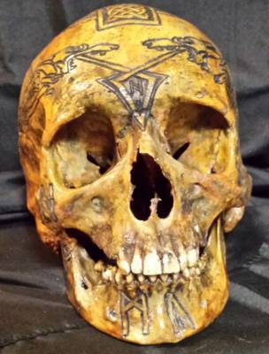Real Human Skull, Celtic Warrior by Zane Wylie
