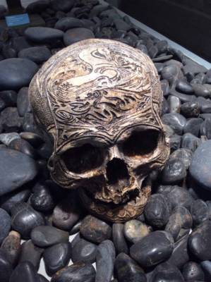 Replica Human Skull, Russian Sea Captain by Zane Wylie