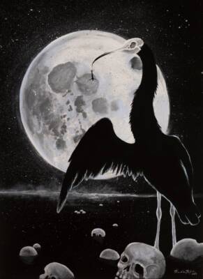 Ibis – bird of death by Karoliina Kilpelä