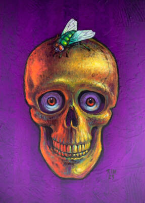 "PSYCHEDELIC SKULL & FRIEND" by Rob Moler