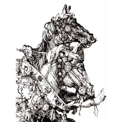 Dürer dark horses by Filippo Mattarozzi