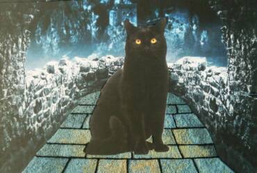 Princess of Darkness