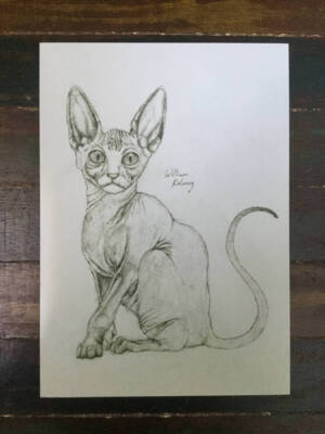 Sphynx by William Keleny