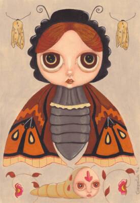 Moth by Daniela Scotton