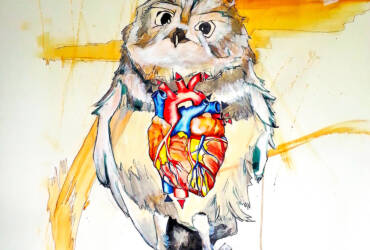 The owl with the human heart