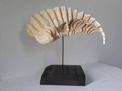 Coelacanthe by Serendipity Liche