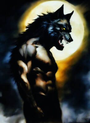 Skinwalker by Robert Perry