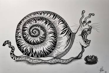 Tiger snail
