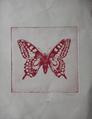 Crimson Butterfly ( She Doesn’t  Need That Anymore) by Gavin Porter