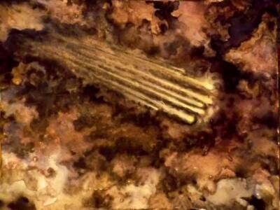 The Perseids by Gavin Porter