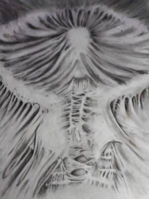 Untitled by Thomas Gray