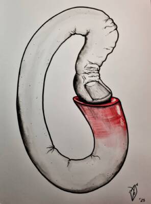 Red Button by Alisa Vos