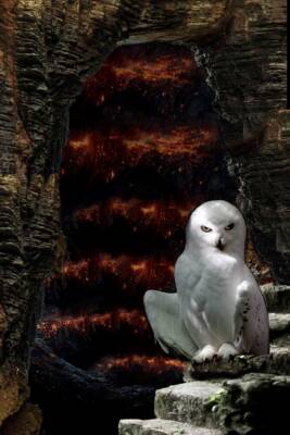 Eternità by Domenico Zullo