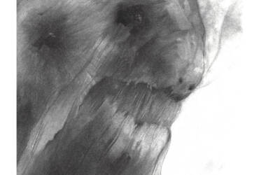 ARKANA – (from the concept series Star System of the Exilian Suns)