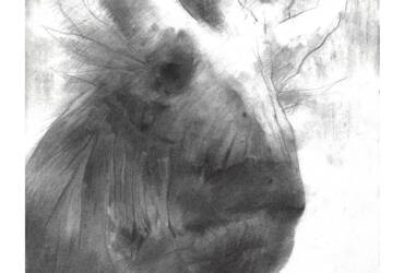 NEEXILA – (from the concept series Star System of the Exilian Suns)