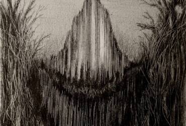 Incident at Castle Freke Woods