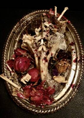 Author by Jenn Paulson