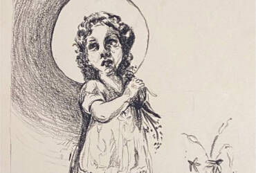 Where do birds go to die?