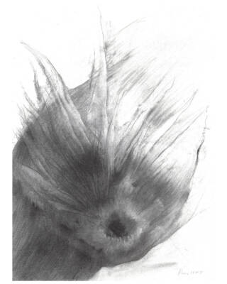 SAARNOOL (from the concept series Star System of the Exilian Suns) by Adonis Pelendrides