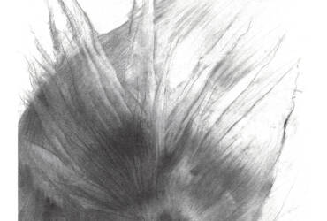 SAARNOOL (from the concept series Star System of the Exilian Suns)