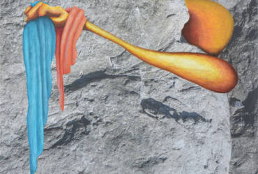 Chameleon (Dark Day 5)