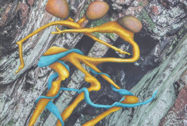 Me, Myself & I (Dark Day 12)