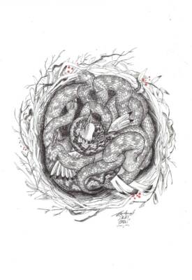 Il nido by Cristina Dambra