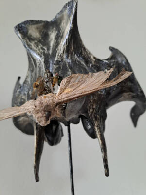 Insect queen by Serendipity Liche