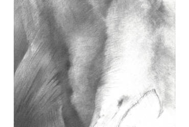 AFOS (from the concept series Star System of the Exilian Suns)