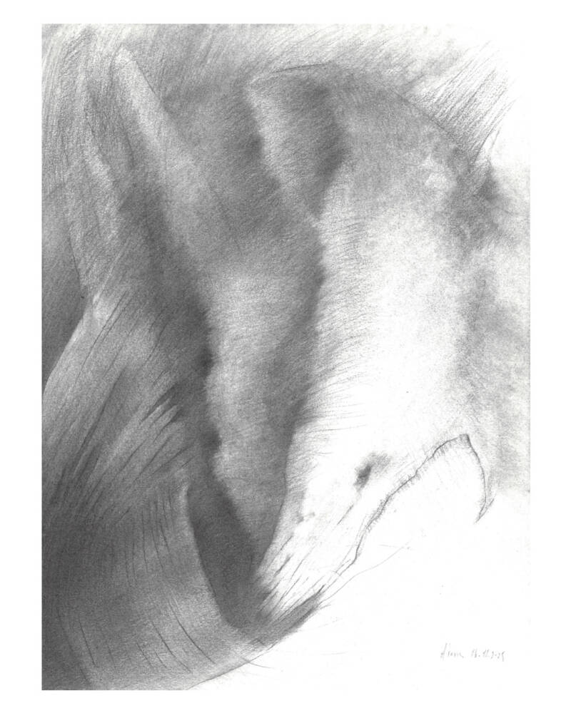 AFOS (from the concept series Star System of the Exilian Suns) by Adonis Pelendrides