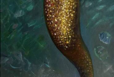 Golden Mermaid