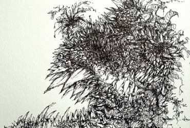 The Apparition at Labby Rock