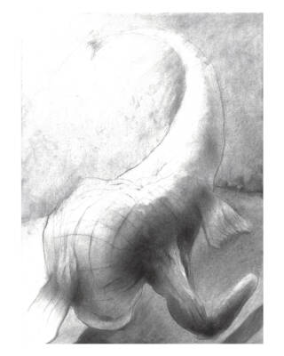 TRAPPED INSECURITY by Adonis Pelendrides