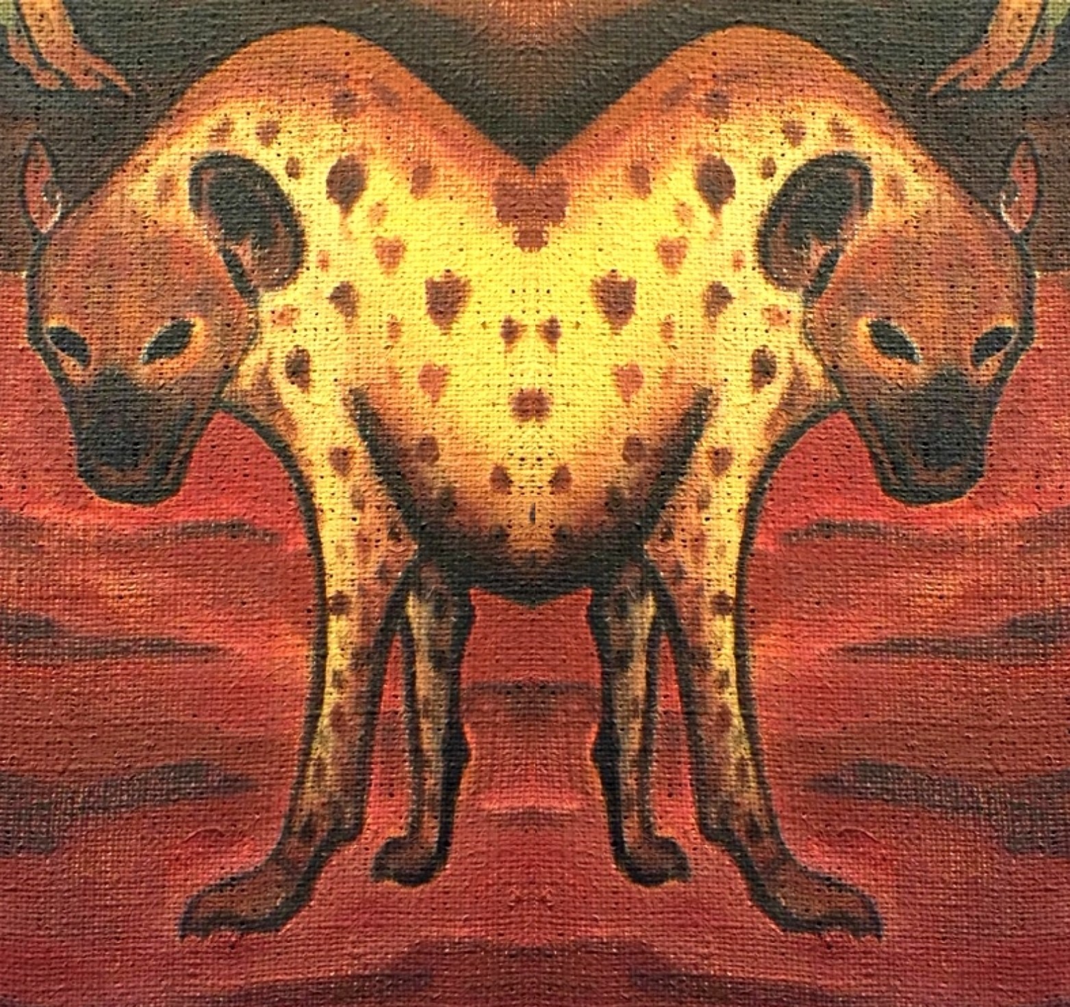 Transgenic spotted hyaenas