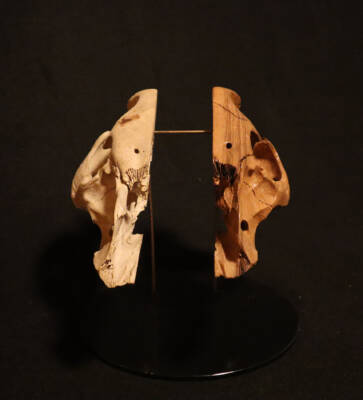 Untitled by Totgeweiht