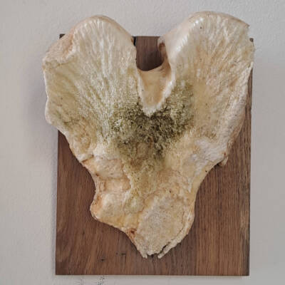 Rotten core by Serendipity Liche