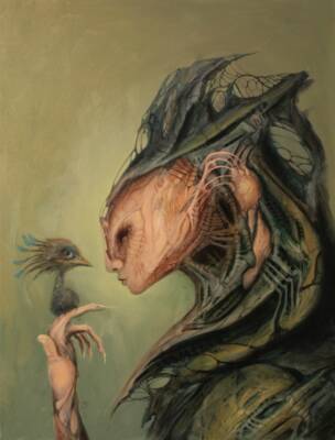 Vox Caelorum by Ed Schaap
