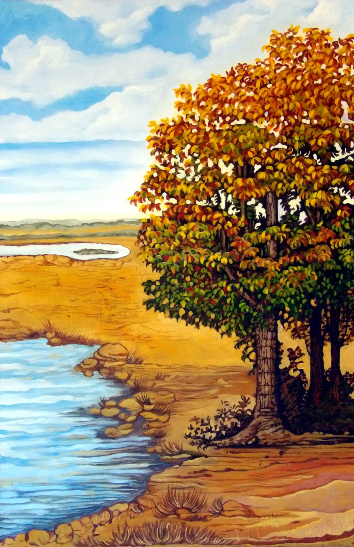 View of Late Summer Trees