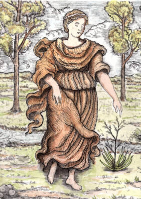 Diana Beneath the Trees by Gregory Dalton