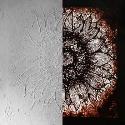 Umbra Illuminati 6 – Flora 1 Sunflower by Nekron
