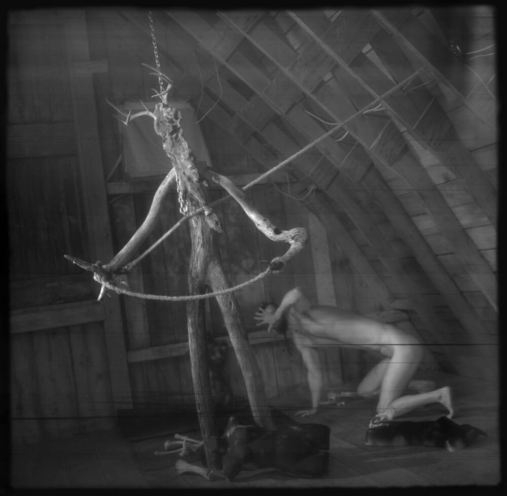 A Monster of My Own. by Kurt Paulsen