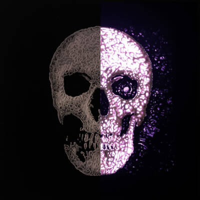 Umbra Illuminati 7 – Skull 2 by Nekron