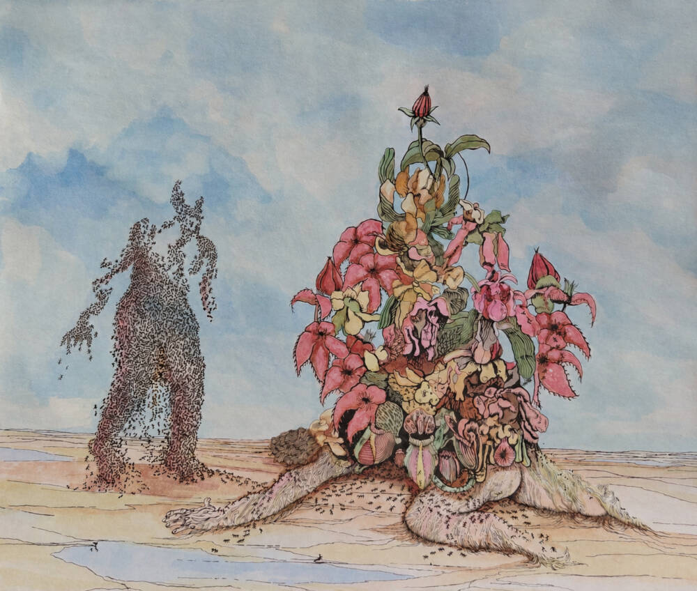 The Stapelia by Gregory Dalton